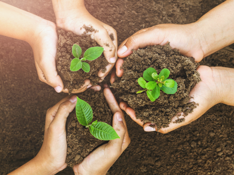 brand-story.png__PID:f3274e17-88f7-4326-948b-a91e3e3b0004