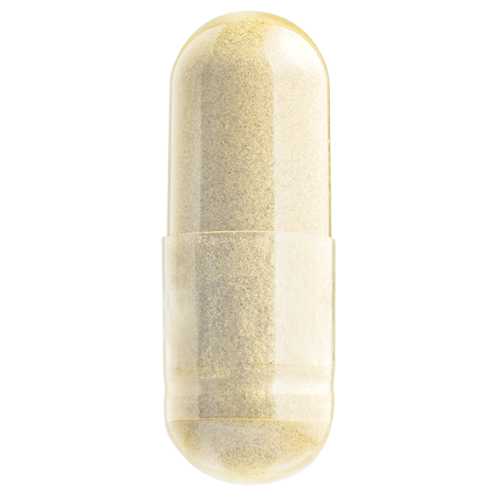 天然奶薊精華 (含水飛薊賓與磷脂膽鹼份子) Natural Milk Thistle Extract